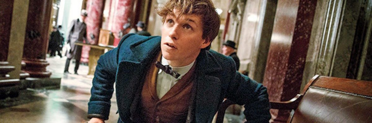 Newt Scamander handmade costume from Fantastic Beasts second movie crimes of Grindelwald hogwarts wizard magizoologist